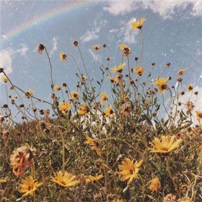 澳门mgm娱乐官网