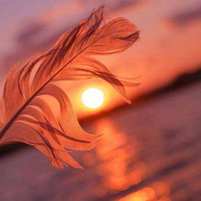 中欧·体育下载手机版