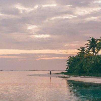 金沙官方版下载