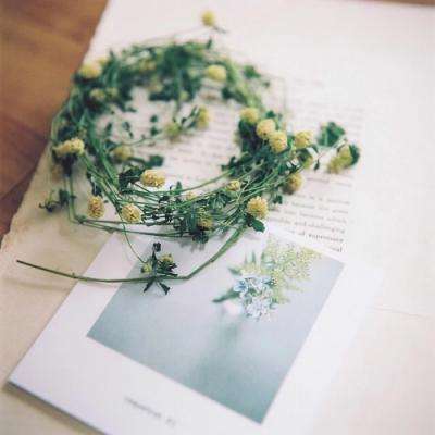 天天中彩票下载手机版