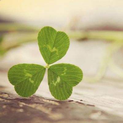 AOA体育登录入口手机app下载