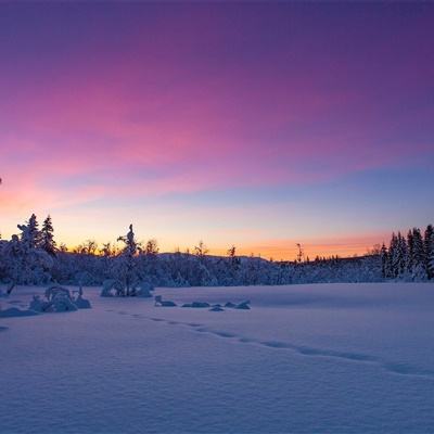 天天游戏app下载截图