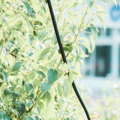 利发app手机登陆·官方网站